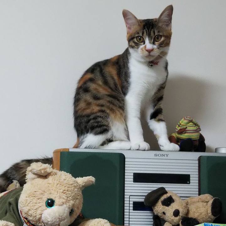 B9058c7f cbe1 4f50 be12 78b97b003938 1637019352729