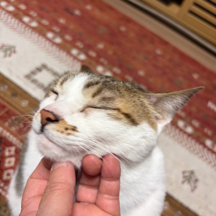 B905a3db 7fa5 490e 9edb efb9f10c631a 1772149888532