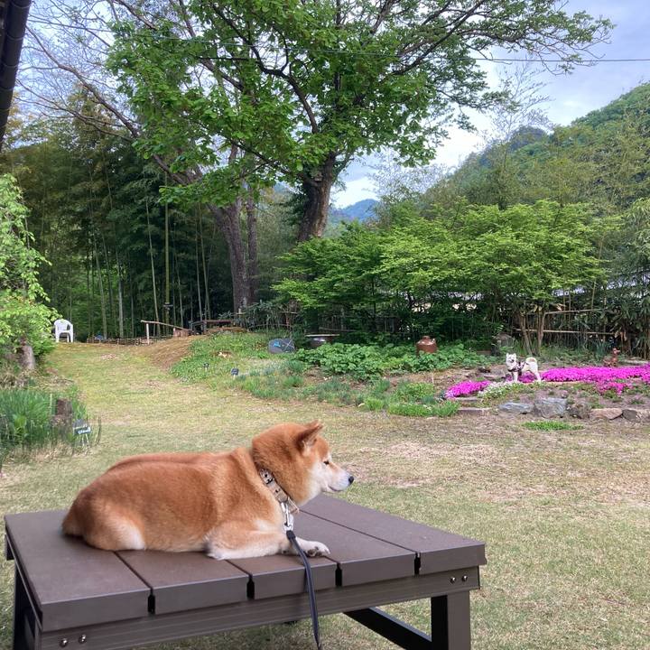 B905a8f4 3ecb 4b5f af89 be552a348757 1714986062368