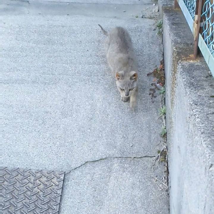 B905c735 7975 4eee ba5f b5d508a228bf 1515558363825