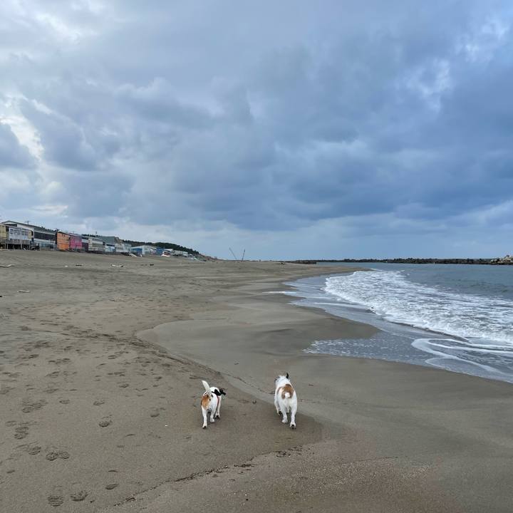 B905e4d7 ff5f 461b 9426 170e0548151c 1669078891316