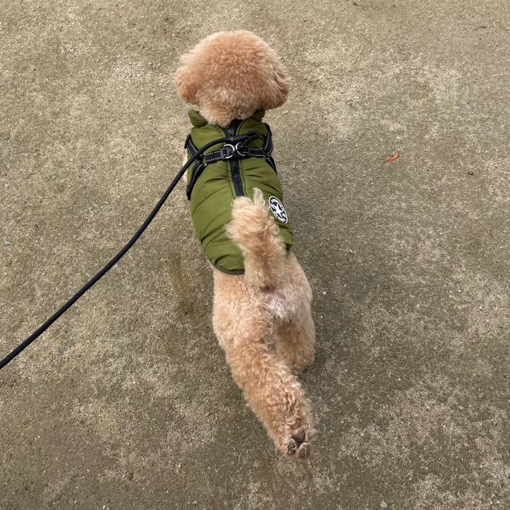 B905e6ca 40b6 4c1a 9305 c18bb9a2c892 1767170696719