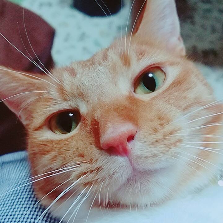 B905f5fe 161d 4262 abd5 8ec2c89f4e10 1591344665658