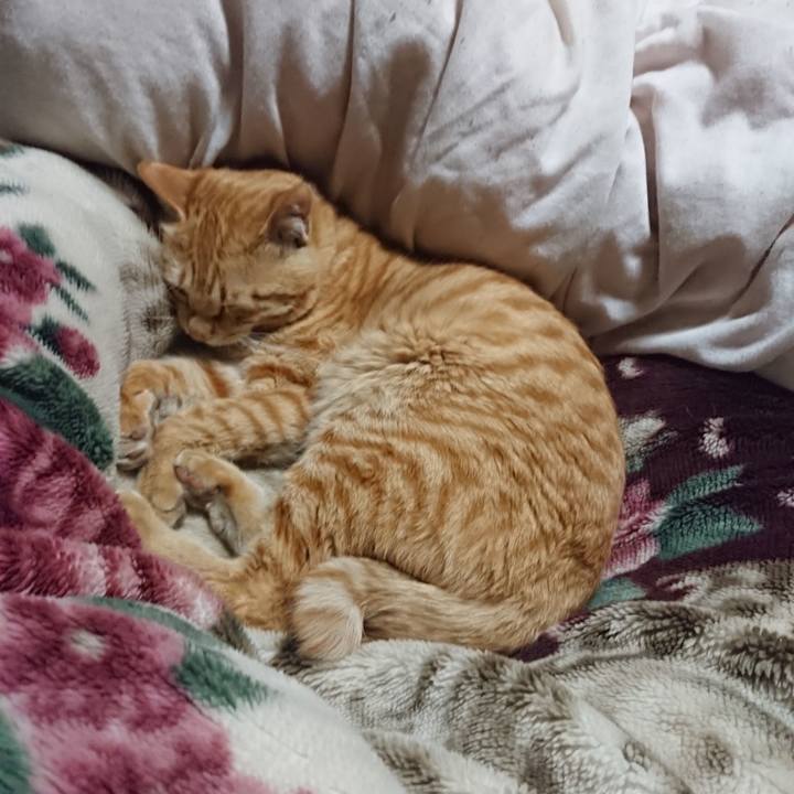 B9060fe2 a167 4d01 8ff8 5a006e51f344 1647521082470