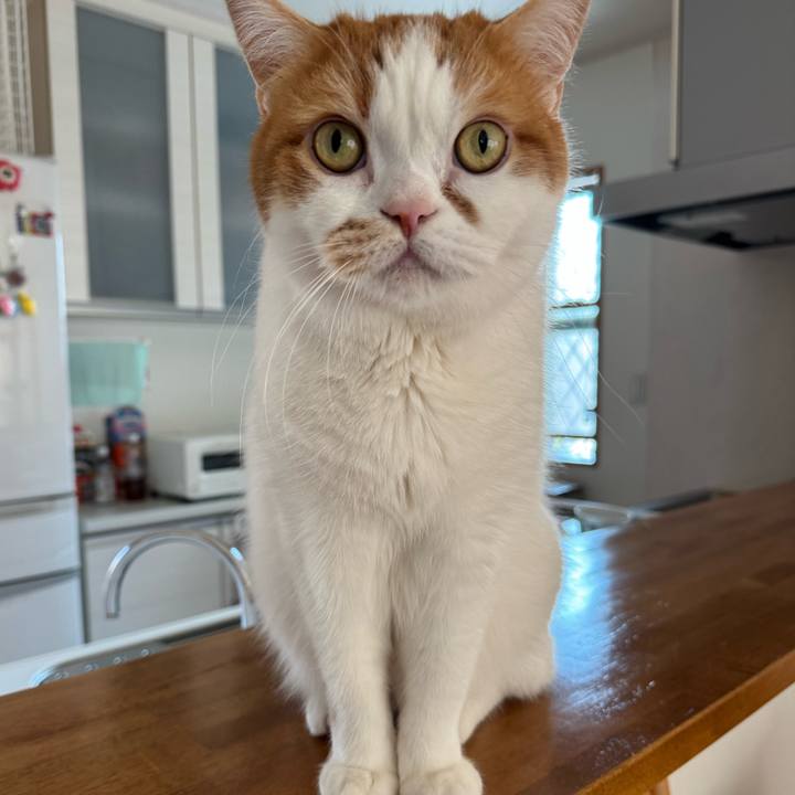 B9062135 32df 4ce3 9d5a f0037b135973 1774924812162