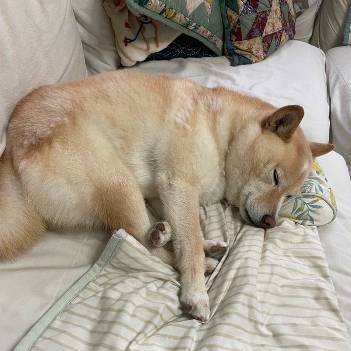 B90628c5 5d5e 4b23 95e1 ad84152c09cc 1748916892383