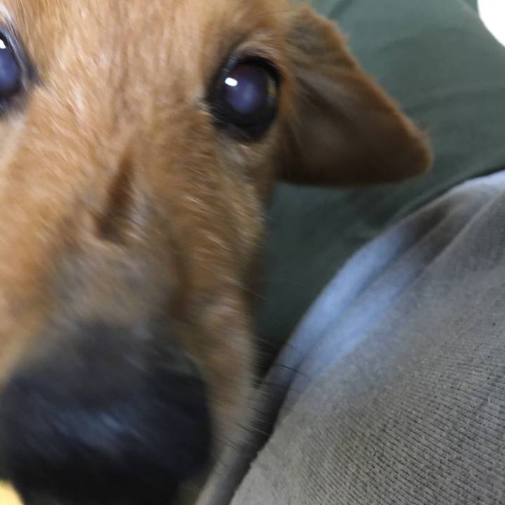 B9063c84 2948 491e b31f 685e7bf6537c 1590069221860