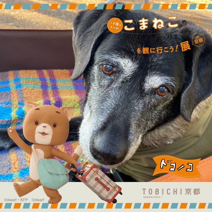 B9067a24 3c48 4f48 aae5 2dc817828d04 1740217943283