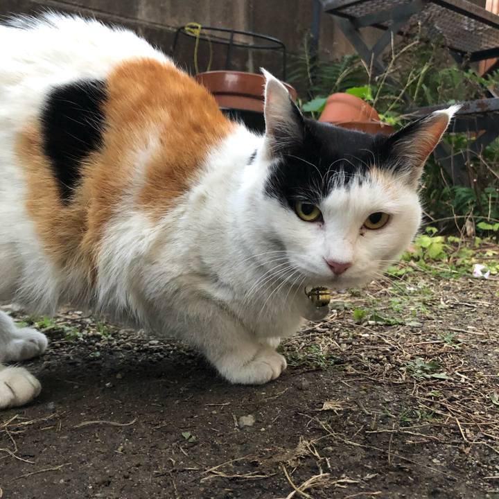 B9068048 0576 4d3a 986b 02b3884fcd80 1611958906128