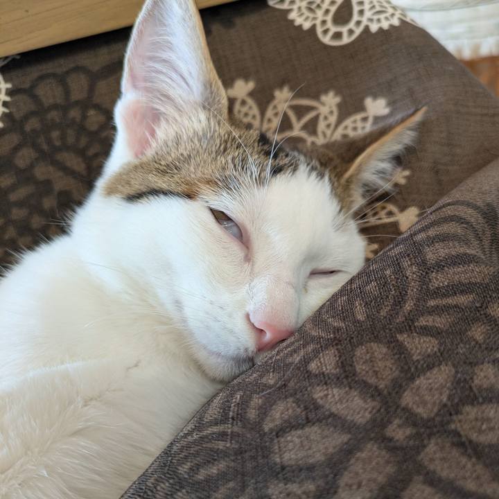 B906d721 ccca 4635 96d2 08ac2a0f26c6 1770516237377