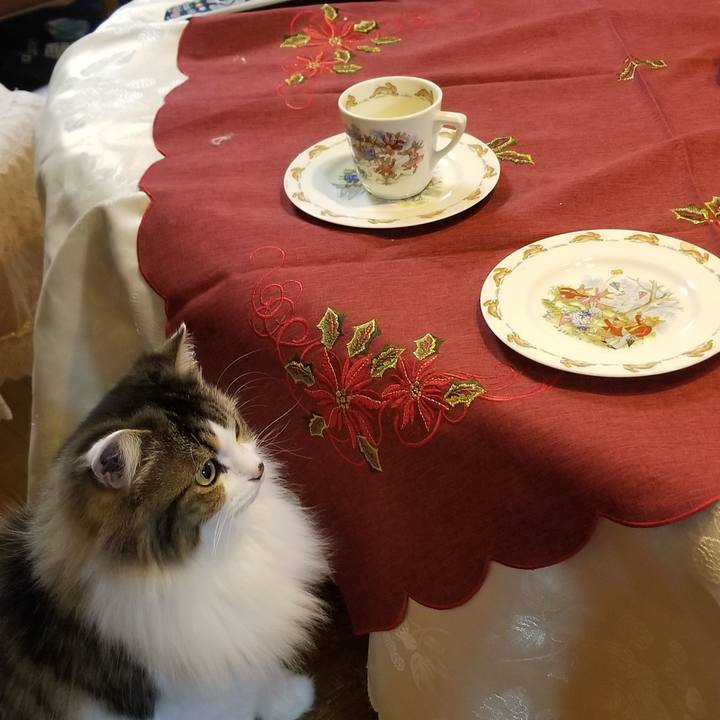 B906e001 b3c8 450d a9c3 b32f39dfce2e 1577021714515