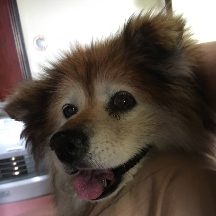 B90739c6 8dfa 42e2 b2d2 29bb3ff851cf 1569979727847