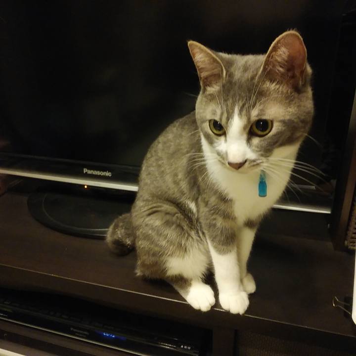 B9075901 4781 4323 8e21 20fda78e4138 1589205507324