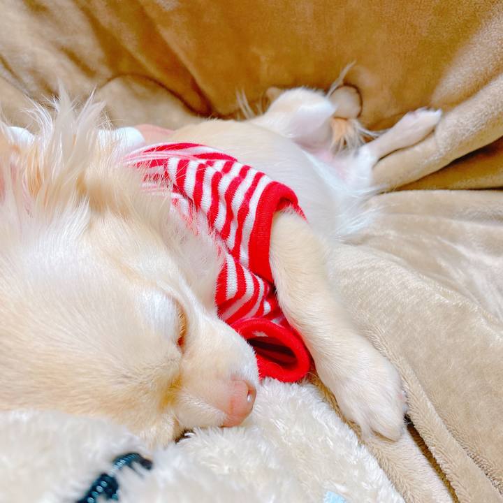 B9076708 bb73 4aa5 902e 894f5441fab4 1642574017263