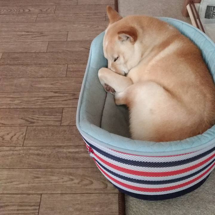 B9078188 cca2 4a30 af04 a441cde438f8 1532739340836