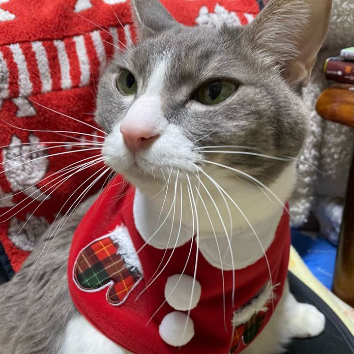 B9078bd2 e39e 478a a963 e61693161007 1734860365248