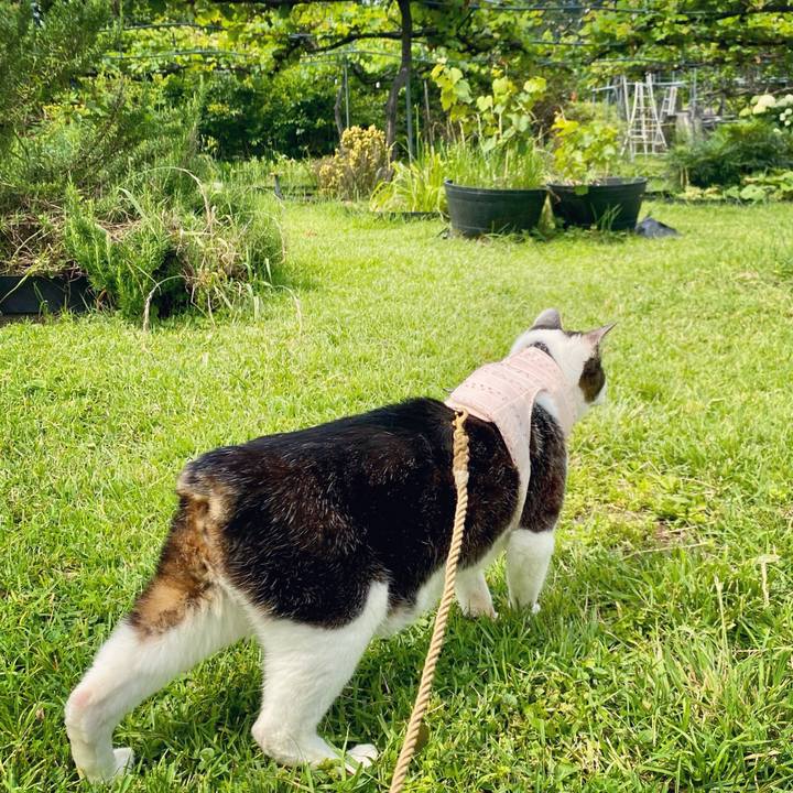 B907a608 8116 481a 8746 5cdeb2b0fba9 1623405037723