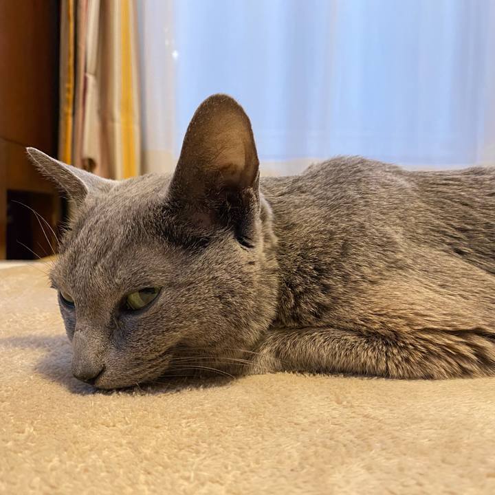 B907ece4 3d27 462c a04e 9a186def5a35 1645343862185