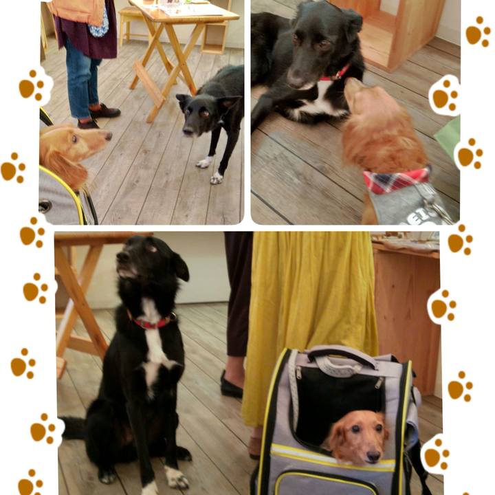 B907fb24 4936 4ed0 bb55 9a14720d777c 1635071542156