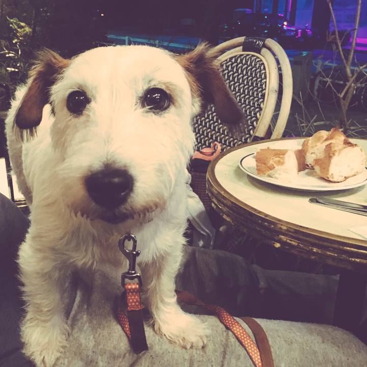 B9080125 eb9e 4b41 ad96 f25c16f00f1a 1537685790827