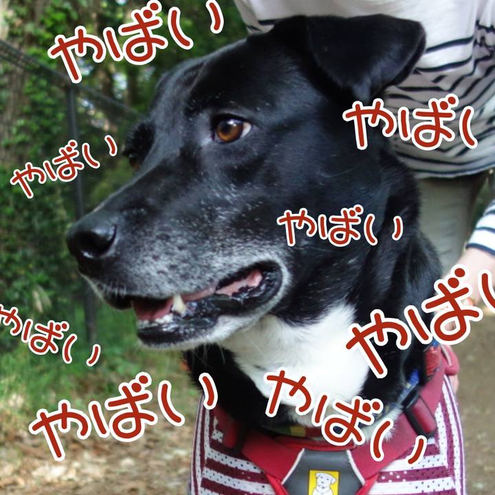 B90815f6 ac6b 47e2 9bb1 498c5695a2b8 1683246815180