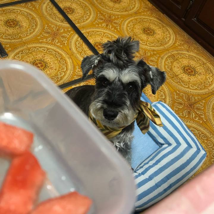 B908335b a369 47d1 909e b01d3b4e1628 1657117927532