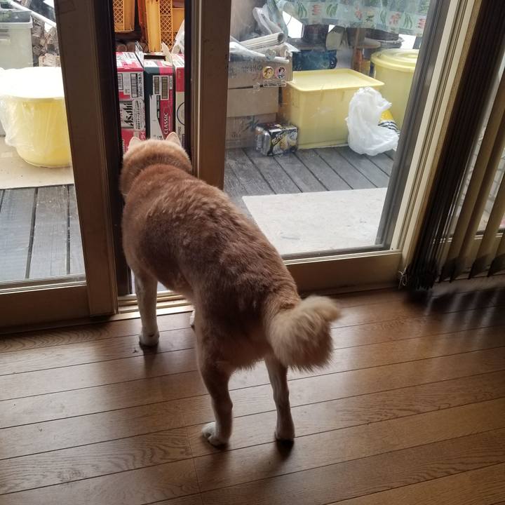 B9083a81 7898 4192 bcfc 042f3456c800 1738024168846