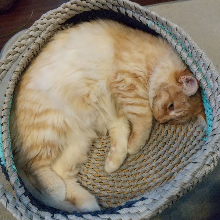 B9083d50 6339 4b64 b1cb 7ed0c249f2d6 1625739275324