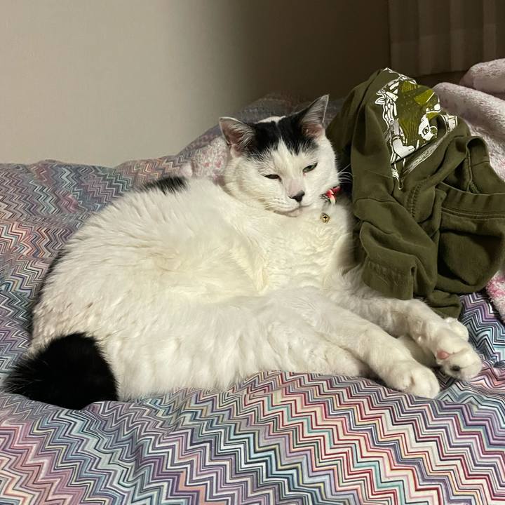 B9087392 136e 4e1f 88d8 e1bc55666208 1704379806153