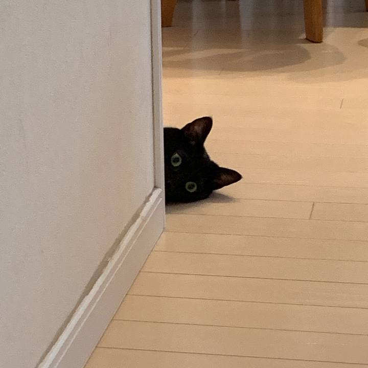 B90880fc 665e 4cb8 9df2 a6603c25be67 1570752830692