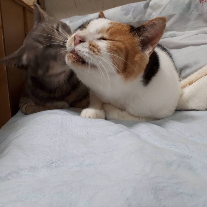 B9089c34 6bea 4ed7 b77f 6119d94b1d2d 1564921516105