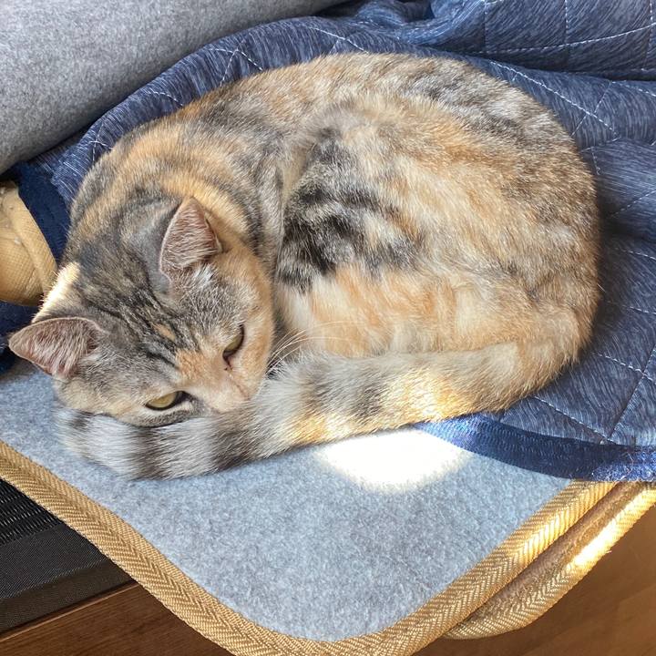 B9089d2a 3af4 428a 8c88 55402d6e6001 1578623908017