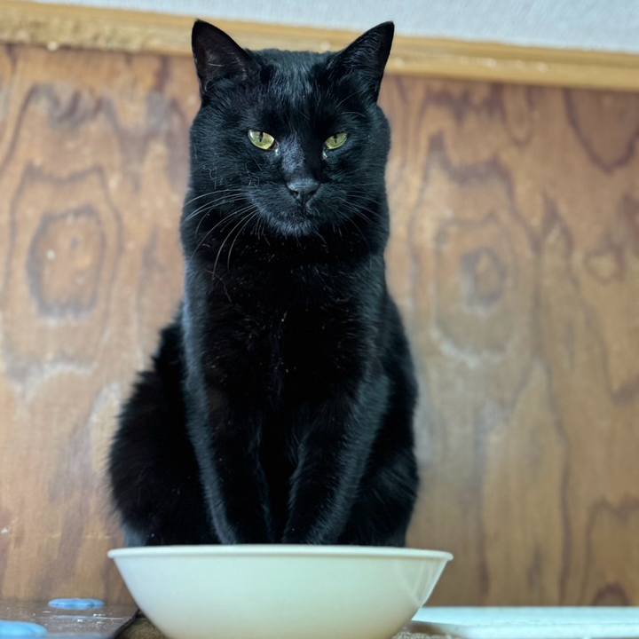 B908af79 54c4 478d a320 7715ab46aa63 1765970998177