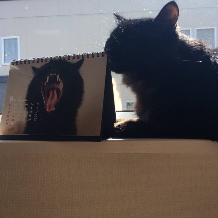 B908bce0 b2b5 4dd9 9f94 794c8ecb6fd9 1568536725498