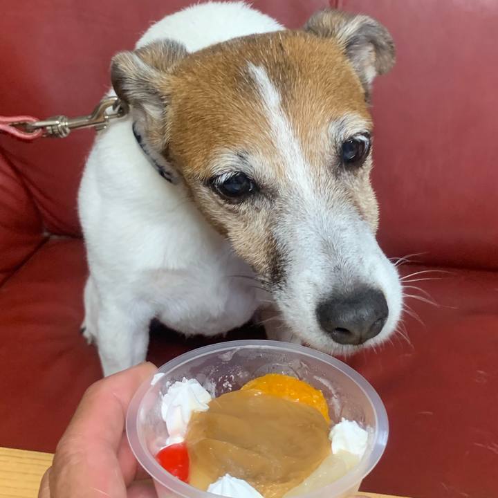 B908f571 3079 4855 a0ff 361ce6771a78 1561810653029