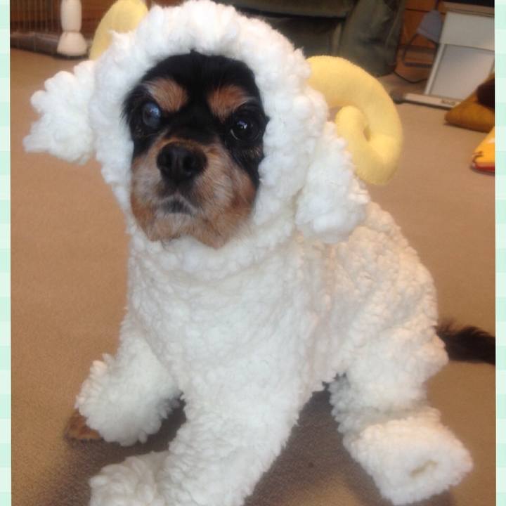 B908fb5b 5c7c 4304 a618 1b5b79a0d484 1511793298546