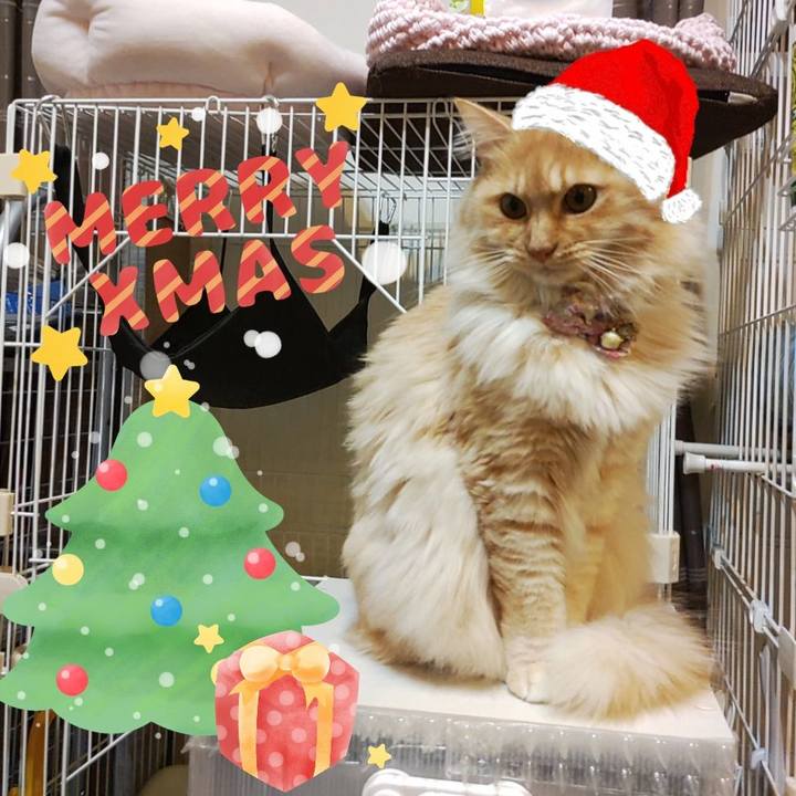 B909065b 6369 44ef 91b3 4043e09c92a4 1671872622192