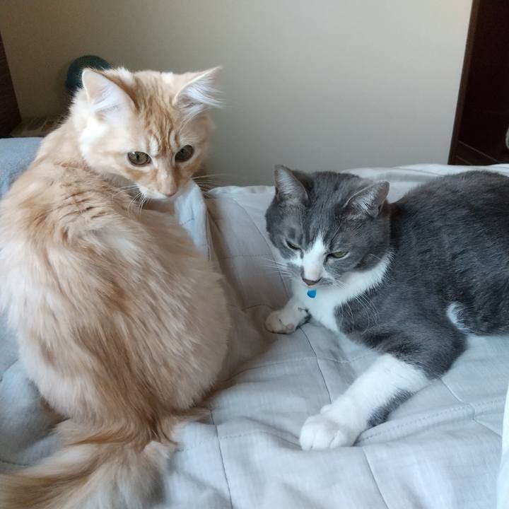 B9095412 42ca 4c63 98f1 6e5278cbe44f 1613864975540