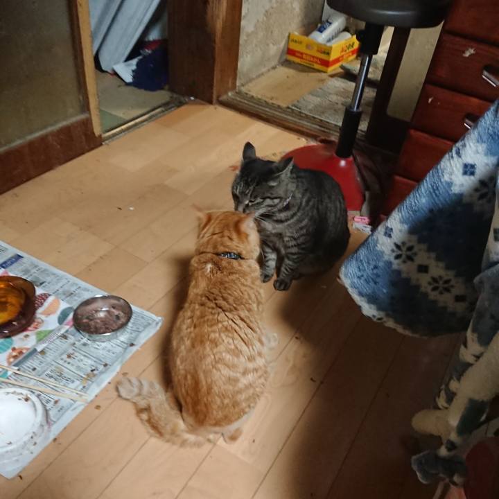 B90981ff 01f9 4cfc 95c1 c6a04e69bd96 1654862479362