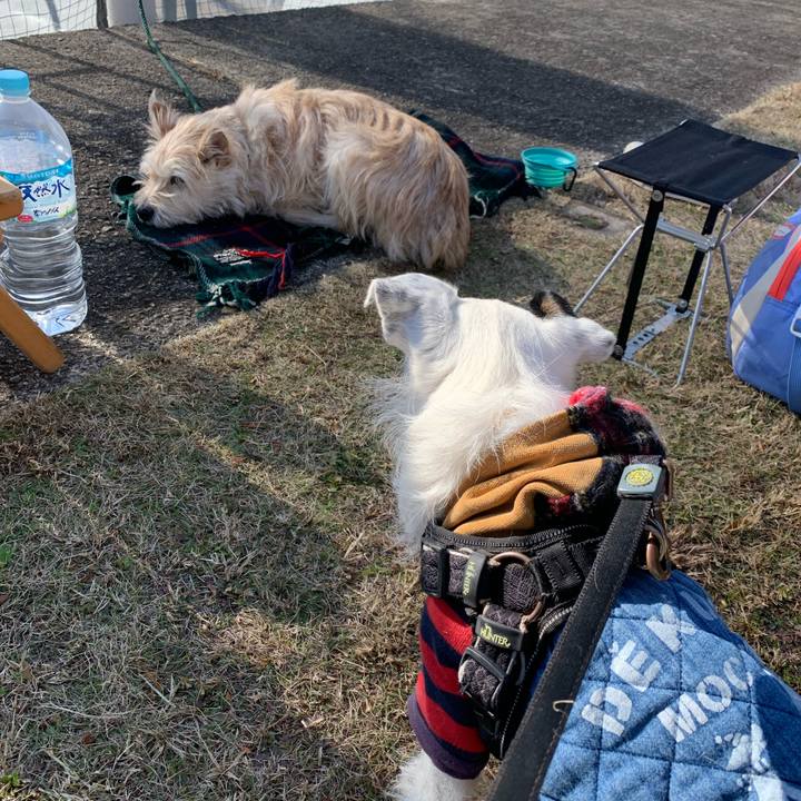 B909e69e 479b 4bb9 ae65 6211bc35384c 1641176681845