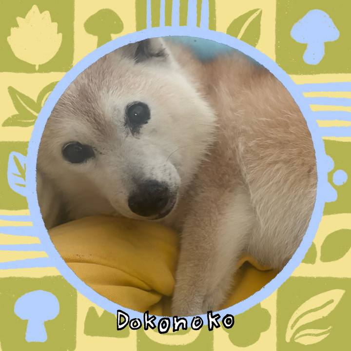 B90a048f 04bd 46fa a486 33fb30ec59ef 1761957424263