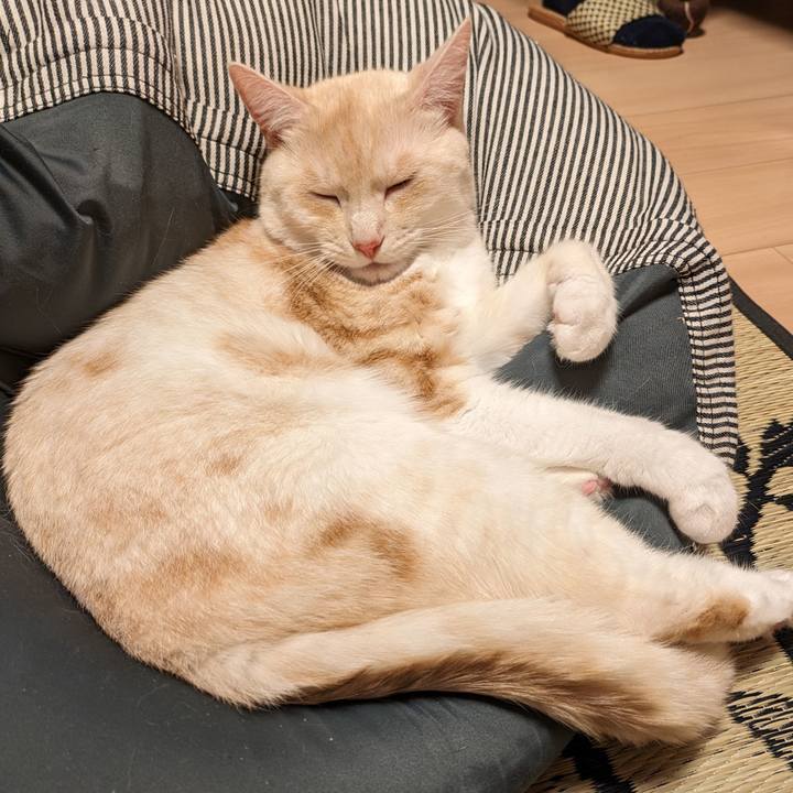 B90a3764 8b0e 4d5a 91d3 1b9a2f4de1a8 1691229281557