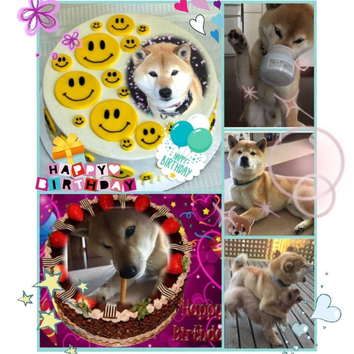 B90a3b77 93a2 4713 9954 adad7a81af8f 1535981794485