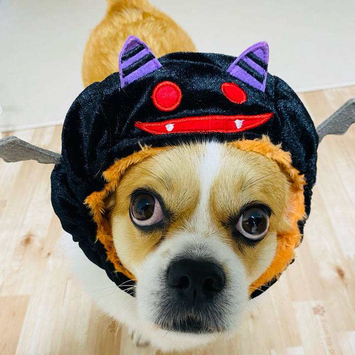 B90a3ef4 b132 4151 984a c3e64579fe59 1698749328005