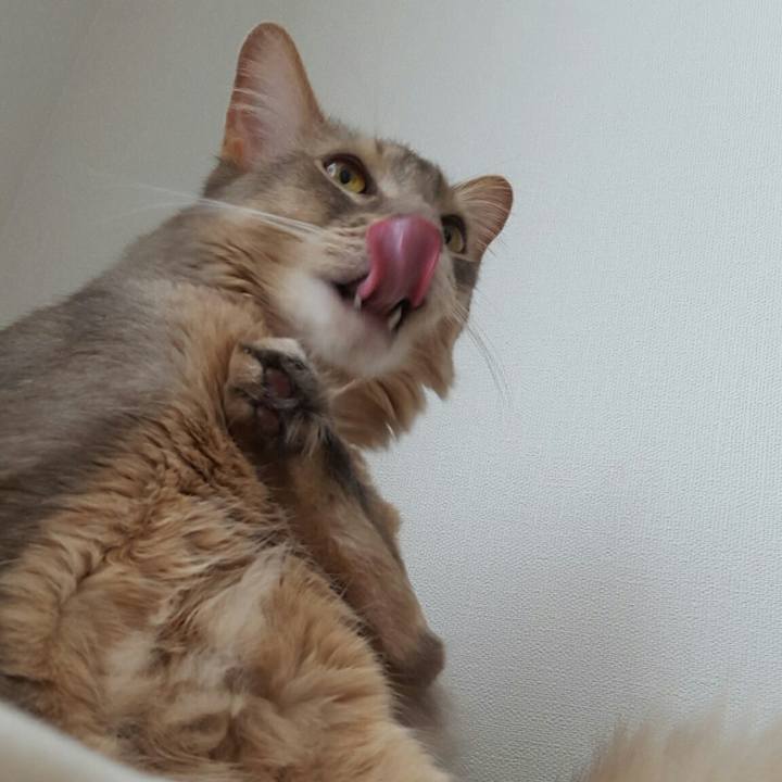 B90a5356 22c8 4682 b8e3 2479b69ceca4 1524896918428