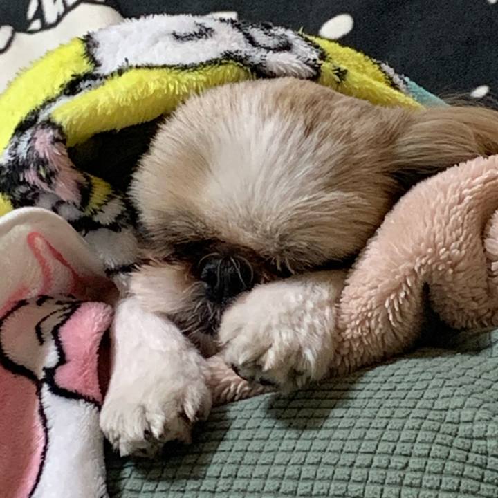 B90a7dea 36d7 480f 8e6b 1f29ea1cc4f7 1675516822537