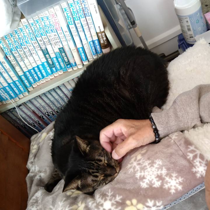 B90a9e04 49fd 45d2 bce3 4e425bfa55d9 1764995067463