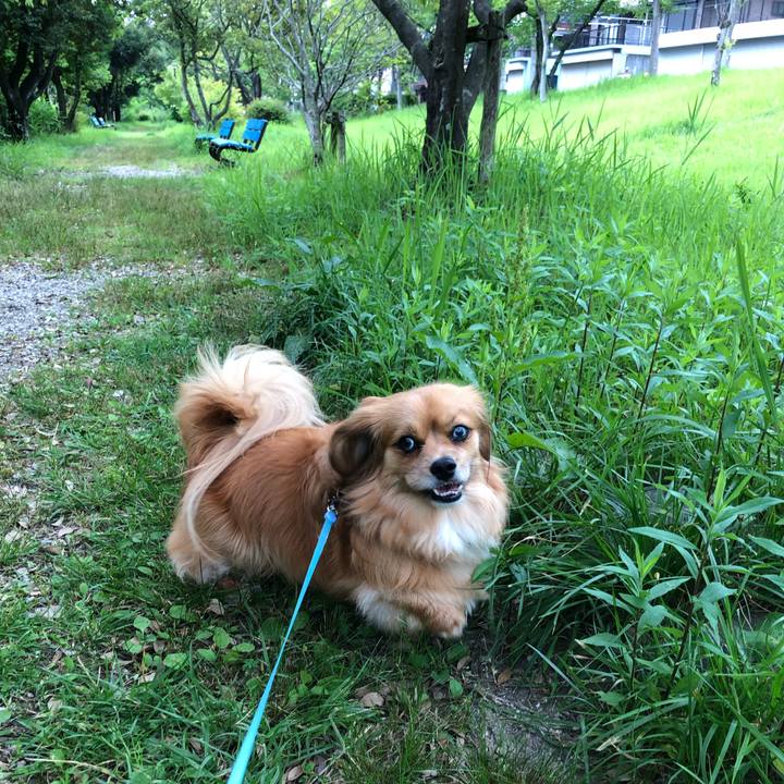 B90b0a9e c65e 4a26 ad59 e3b248437212 1561588178303