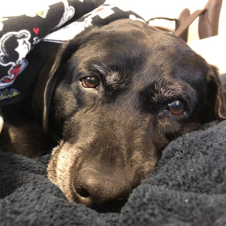 B90b10fc c837 45ee baf1 9ee9160a0b1c 1578715828580