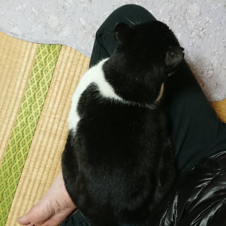 B90b66b8 4992 41f7 b414 504e915e61c8 1551781516618